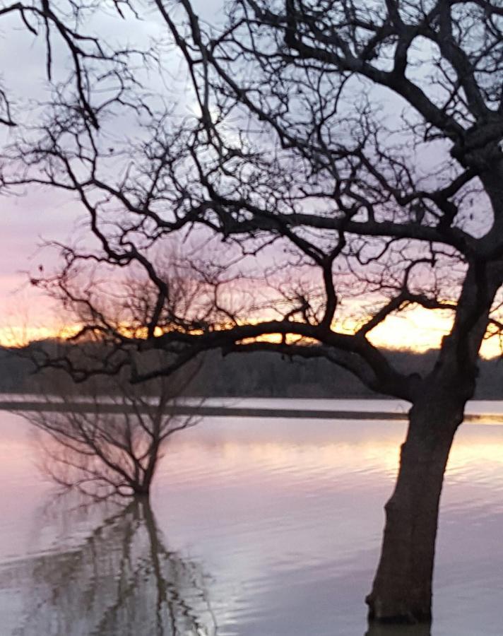 Lake Front Cottage Little Elm 외부 사진